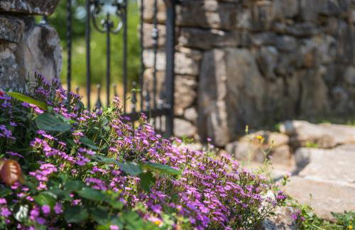 Holiday Home Vlatka - Foto 56