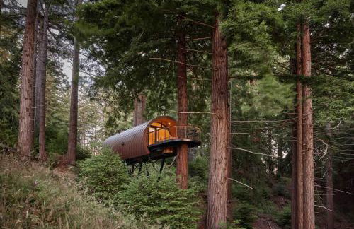 ~* The Spectacular Spyglass Treehouse *~ - Foto 26