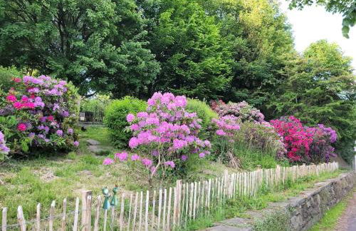 Ferienwohnung Landidyll, Whirlpool, Minipigs, Ponys, Familien - Foto 14