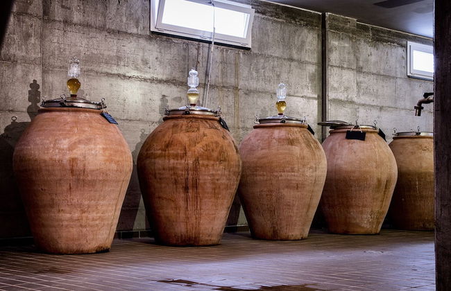 I Cacciagalli - Photo 53