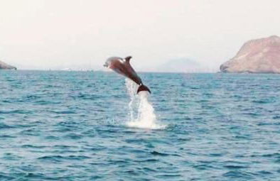 Cabo de Palos apartamento vacacional - Foto 67