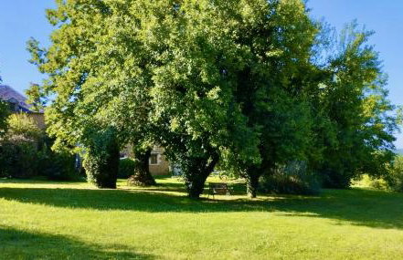 La Vieille Ferme: superbe complexe de 3 gîtes en pierre avec Piscine au coeur du Périgord Noir - Photo 51