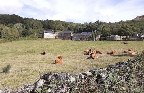 O Busto Aldea Rural - Foto 40