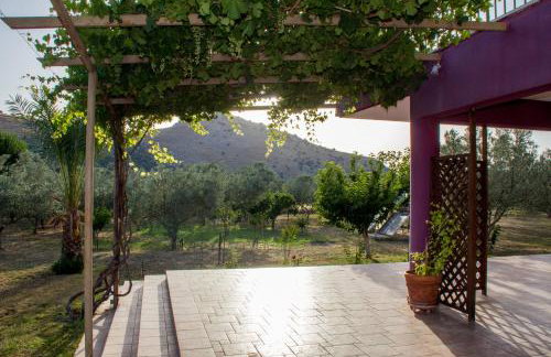 Ktima Anastasia - Foto 47