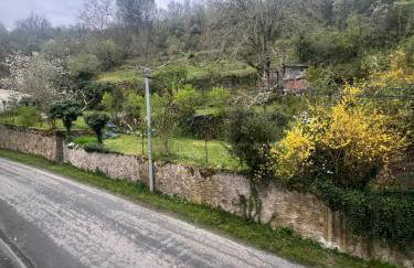 La source aux chevreuils - Foto 10