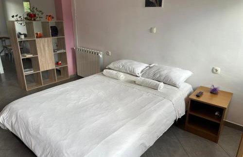 Apartments Brkić, Lozovac Krka NP with Pool - Foto 27