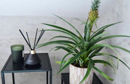 Shoreline Portballintrae North Coast Views Near Giants Causeway & Royal Portrush - Foto 59