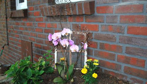 Apartment Landskron by Interhome - Foto 5