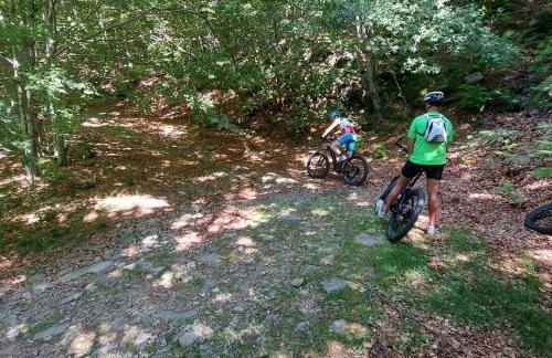 Da Castruccio degli Antelminelli - Foto 41