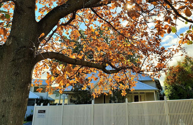 Healesville House - Magnolia House - Foto 51