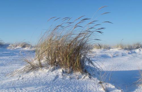 Ferienhaus Nordstrand Whg 4 - Foto 28