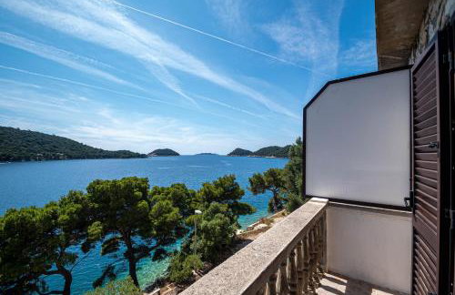 Apartments by the sea Ubli, Lastovo - 16599 - Foto 20