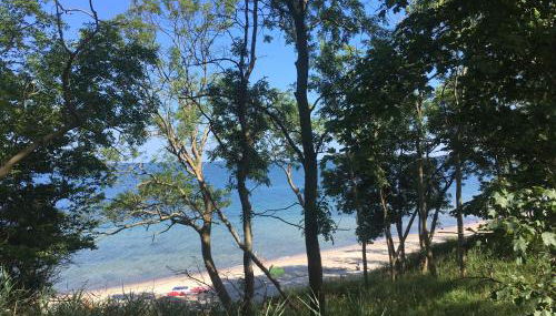 Ferienbauernhof Liesenberg Obstwiesenhaus Birnenbaum - Foto 4