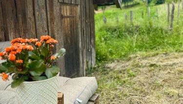 Gîte Brin de Nature au cœur de la nature bugiste - Foto 3