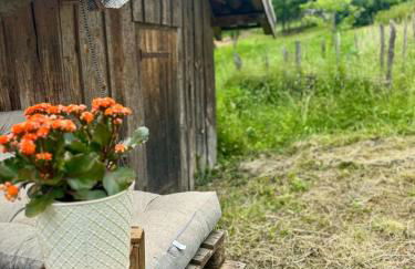 Gîte Brin de Nature au cœur de la nature bugiste - Foto 3