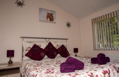 Squirrel Lodge - Foto 10