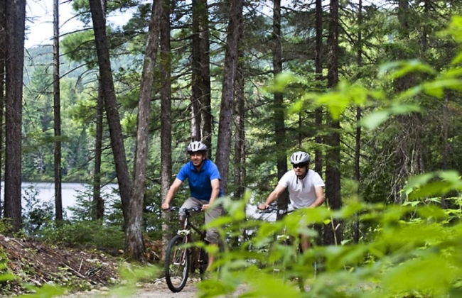 Le Manoir - Escapades Tremblant - Foto 45