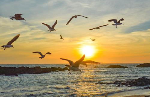 Amazing House On The Beach - Foto 68