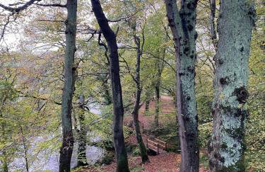 The Fishermans Cottage - Foto 33