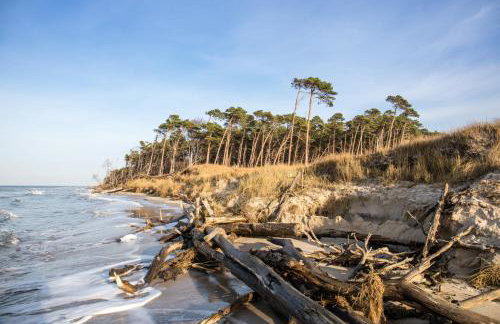 Ferienhaus "Kleist " - Foto 21