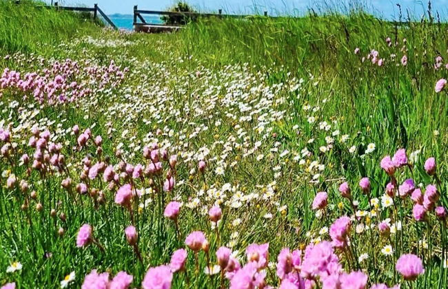 Holiday Home in Slagelse - Foto 5