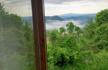 Autenticum Agriturismo Tolfa - Foto 47