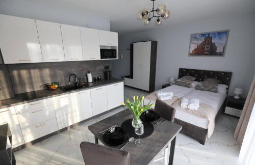 Katowice Apartamenty Hetmańska 4 - Foto 4