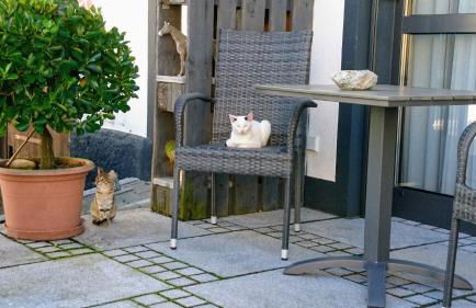 Ferienhof Fenzl - Foto 21