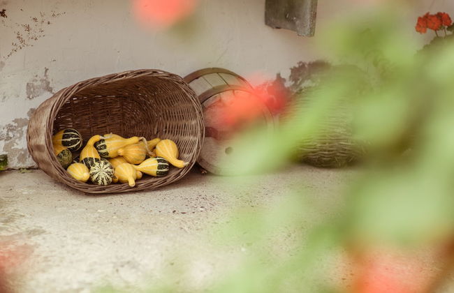 Country House Stara Kapela - Foto 52