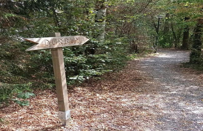 Lodge in Durbuy With Hot Tub & Valley Views - Photo 21