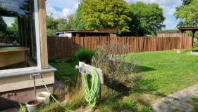 Bungalow Helga - Photo 3, Garden