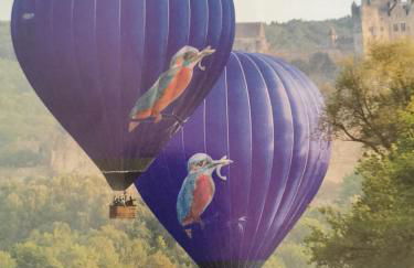 Gîte la Borie du bois Sarlat - Foto 25