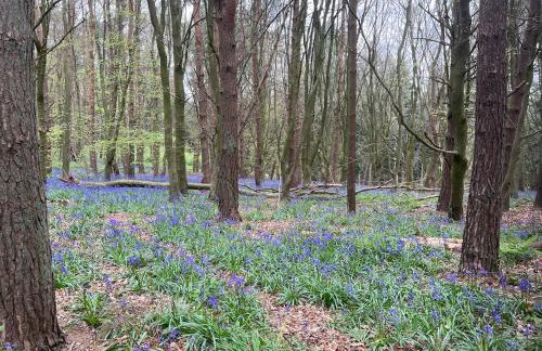 Gertys Getaway - Foto 19