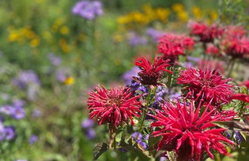 The Urban Roost I A Rustic City Escape - Foto 42