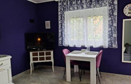 Studio apartman Marta - Foto 17