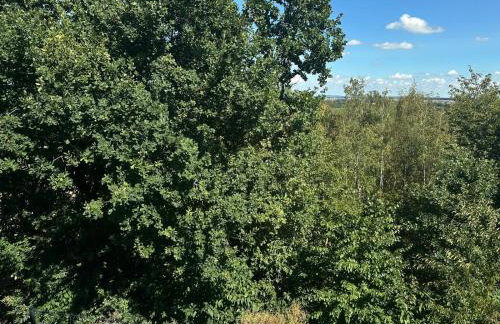 Willa Daisy - Foto 49