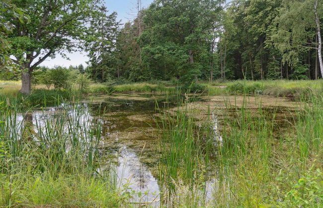 "Nell" - 3.2km to the inlet - Foto 2