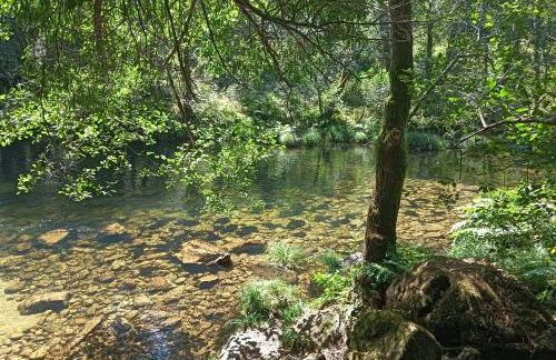 A Parrula, Mar, río y montaña - Foto 34