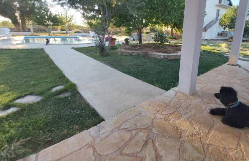 Kaja House Apartments - Foto 32