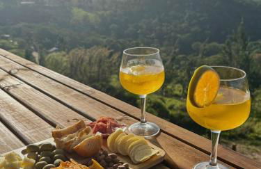 Chalé Contêiner- Hidro com vista para montanhas - Foto 9