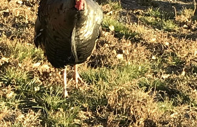 Eycat Lodging Company - Foto 35