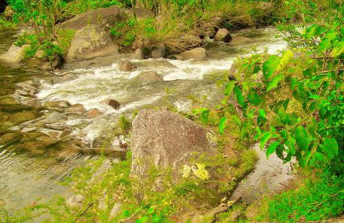 Casa Dell Angelo Apartamentos - Foto 59