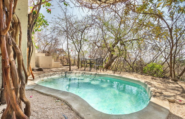 Bosque Geométrico - Foto 73