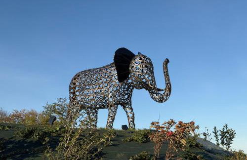L'écrin d'Anne et Stéphane - vue sur Strasbourg - Foto 32