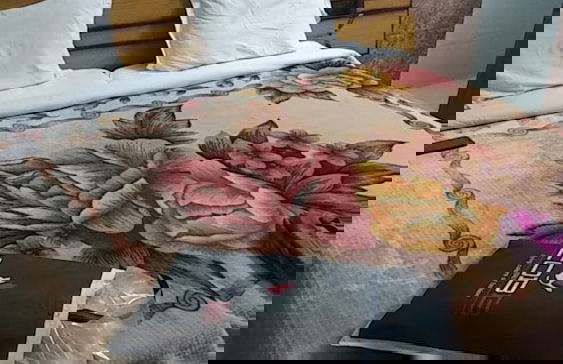 Krishan vilas Bettiah - Foto 11