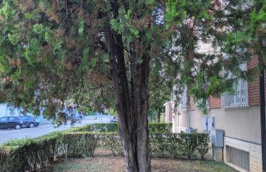 Indipendent Studio Apartment near metro - Monolocale indipendente vicinissimo metro - Foto 10