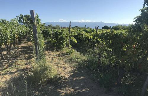 Villa lavanda - Foto 39