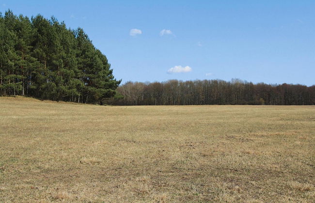 Ferienwohnung, Lohmen - Photo 11