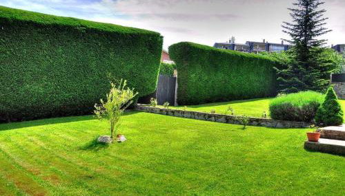 Casa Bellavista Becerril - Foto 3, Garden, Garden view