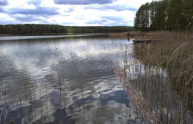 Great Holiday Home in the Middle of Nature and Right on the Lake, Natac Wielka - Foto 23